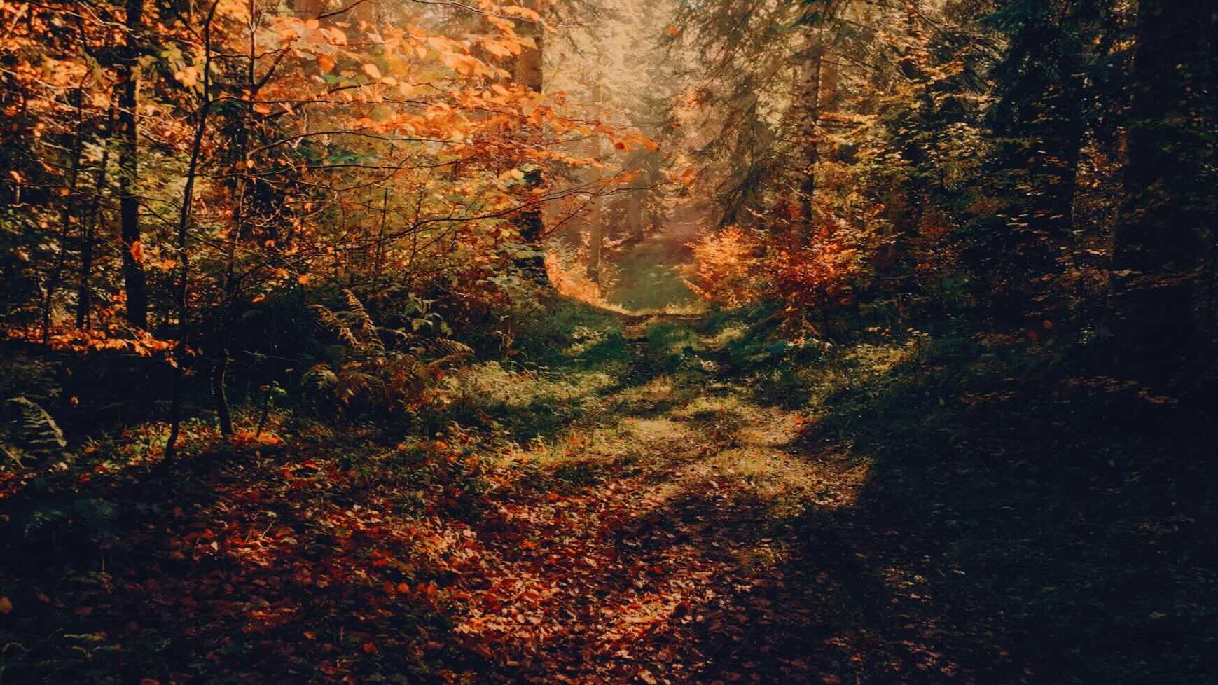 Quand la nature se retire 